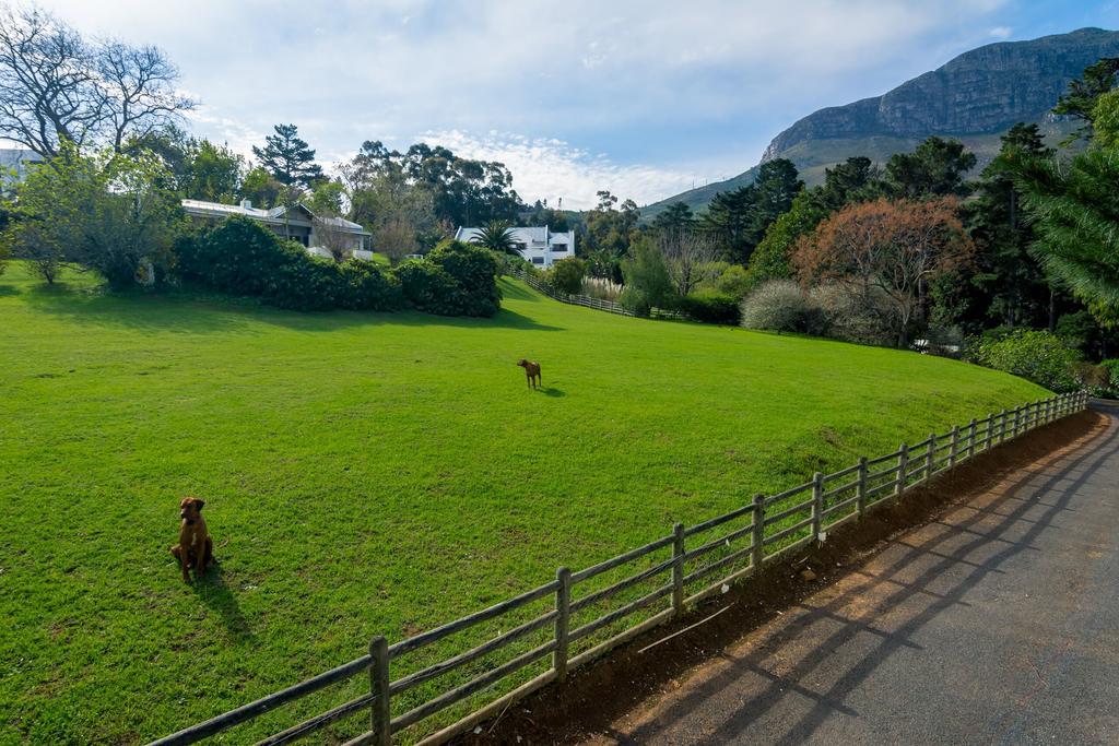 De Molen Guest House Somerset West Zewnętrze zdjęcie